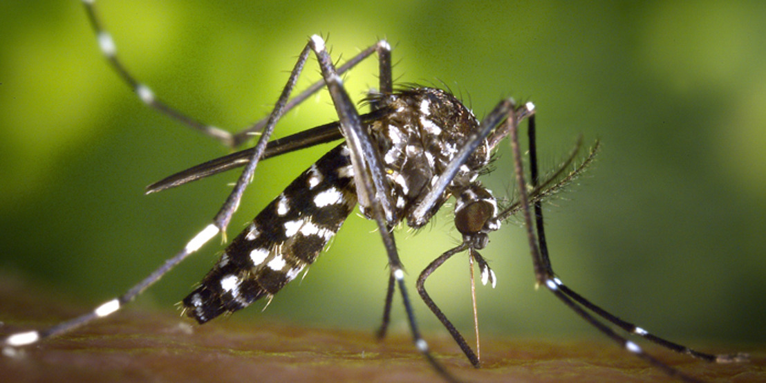 Advocacy from CARPHA and CARICOM Results in Zika Label being Removed from the Caribbean