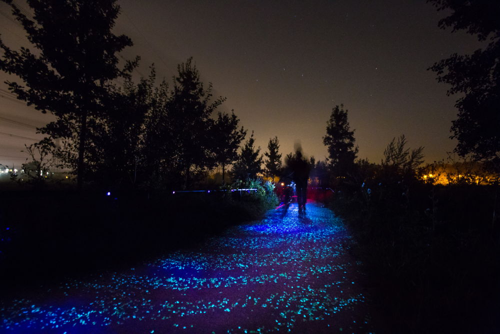 Nuenen - Van Gogh Roosegaardefietspad