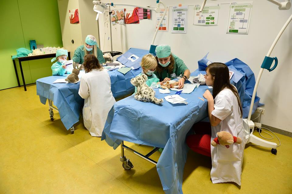 Teddy Bear Hospital editie 2016