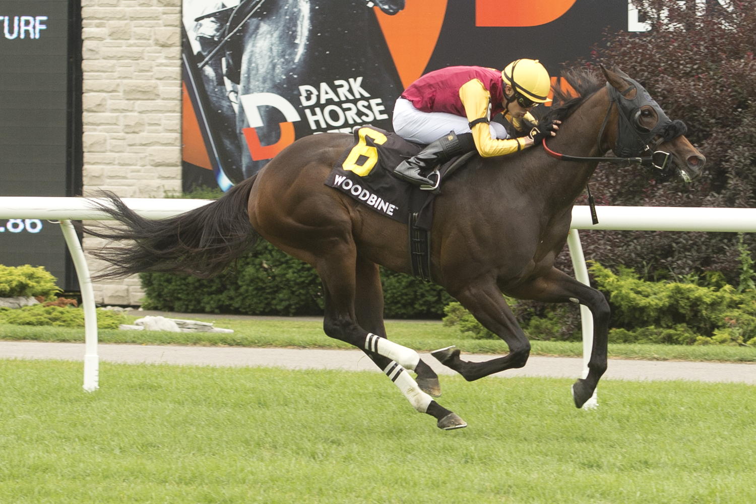 Souper Sunday and jockey Eswan Flores winning the Georgian Bay Stakes on July 8, 2023 (Michael Burns Photo)