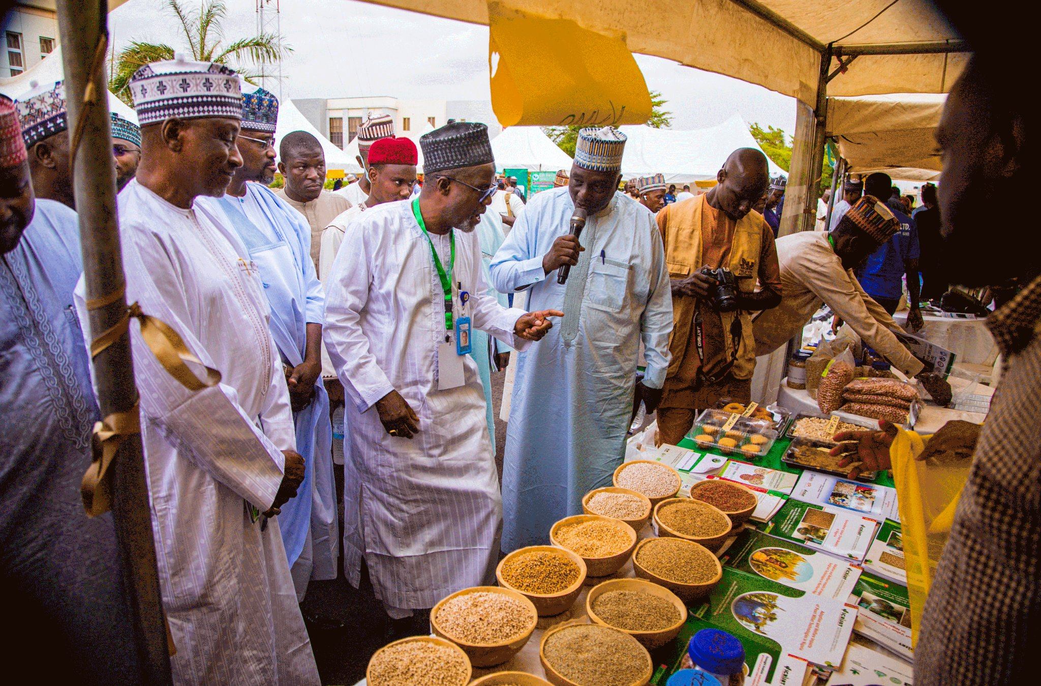 ICRISAT Showcases Climate-Smart Millets and Organizes a Seed Fair in Kano, Nigeria 