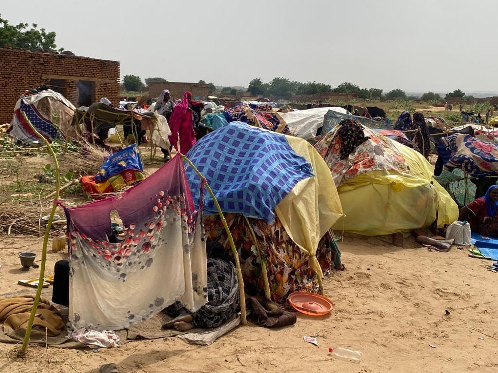 Vue du camp de transit d'Adré où sont hébergés les réfugiés nouvellement arrivés d'El-Geneina. © Johnny Vianney Bissakonou/MSF Vue du camp de transit d'Adré où sont hébergés les réfugiés nouvellement arrivés d'El-Geneina. © Johnny Vianney Bissakonou/MSF