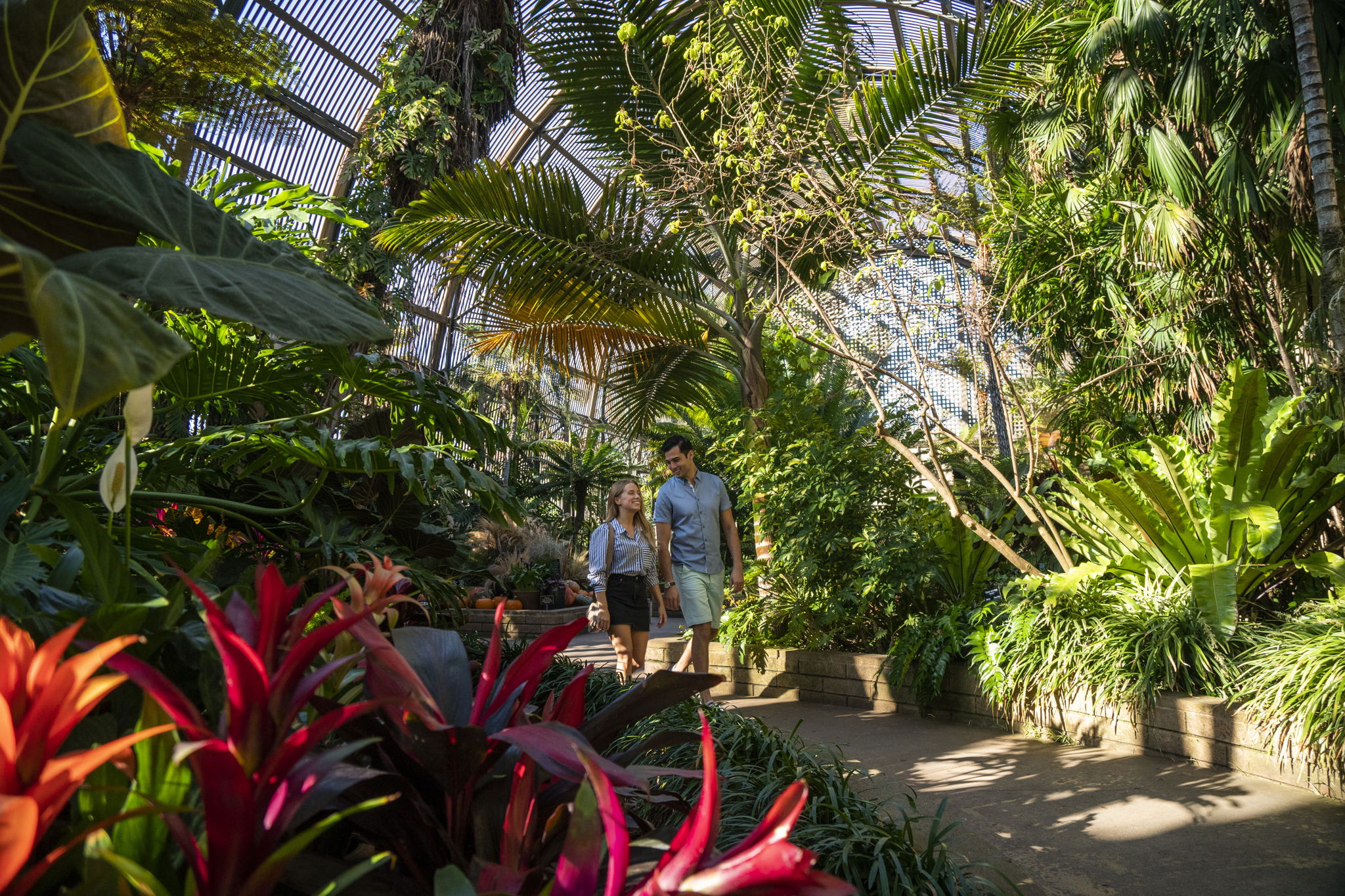Balboa Park, San Diego.
