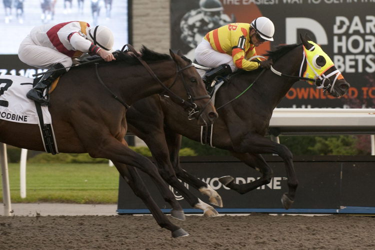 Velocitor and jockey Justin Stein winning the 2022 Coronation Futurity at Woodbine (Michael Burns Photo)