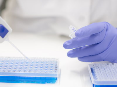 A new toolbox allows engineering genomes without CRISPR
