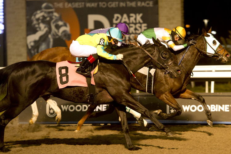 Hard Edge and jockey Eswan Flores winning race 1 on December 4, 2021 at Woodbine (Michael Burns Photo)