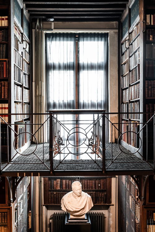 Nottebohmzaal van de Erfgoedbibliotheek Hendrik Conscience | Foto: LUCID