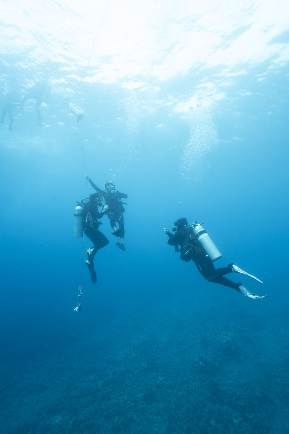 PADI Diving Excursion 