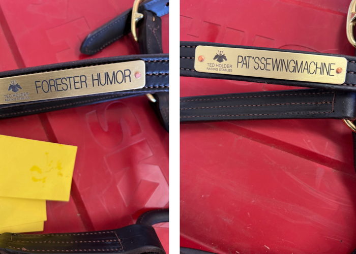 Forester Humor and Pat’ssewingmachine’s name plates