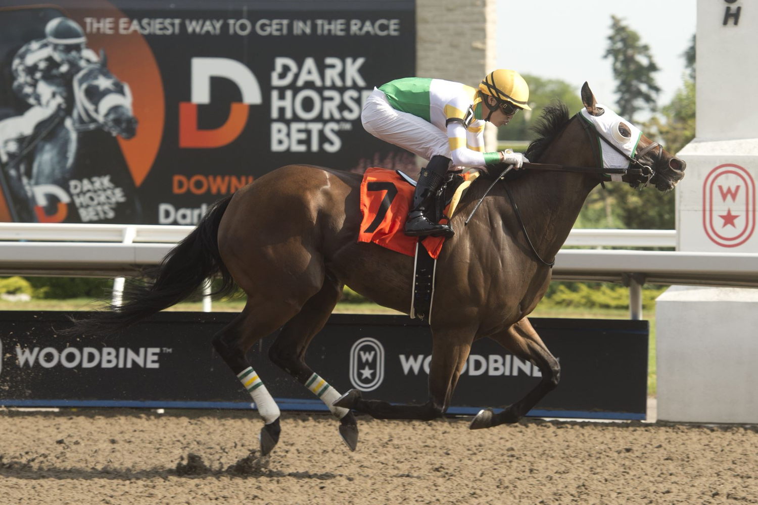 Hard Edge and jockey Eswan Flores winning race 8 on June 25, 2022 at Woodbine (Michael Burns Photo)