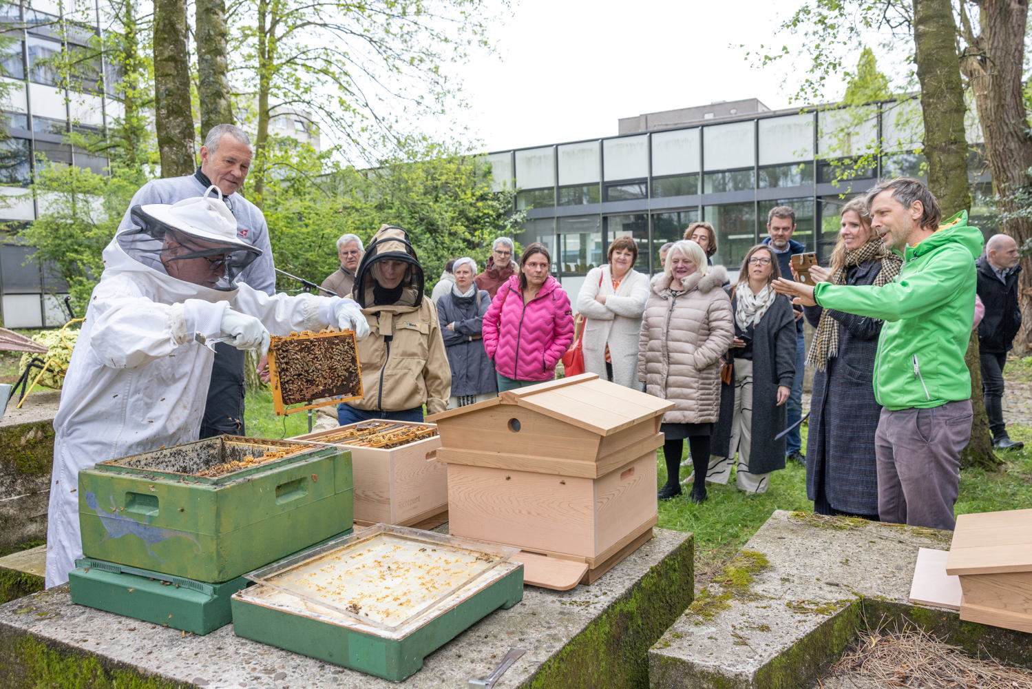 Gedeputeerde Kurt Moens verplaatst het bijenvolk onder het goedkeurend oog van imkers Philippe Bourgeois (PTI) en Isabelle-Frédérique de Baere (Richtpunt campus Gent-Oudenaarde)