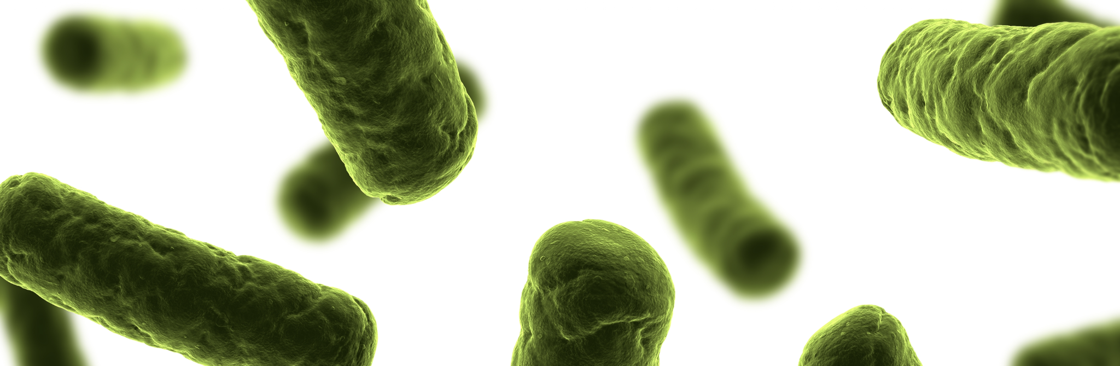 Langdurige effecten van levensstijl op het microbioom