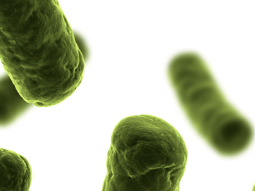 Langdurige effecten van levensstijl op het microbioom