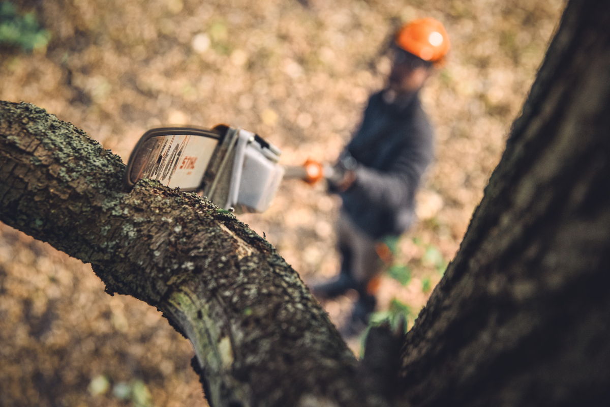 Met de accuhoogsnoeier STIHL HTA 160 kunnen professionele boomverzorgers hun klussen veilig vanaf de grond uitvoeren, ook bij dikkere takken.