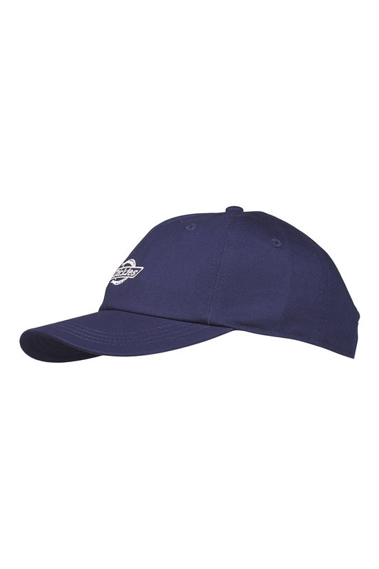 Juttu Dickies Pet Eential Dad