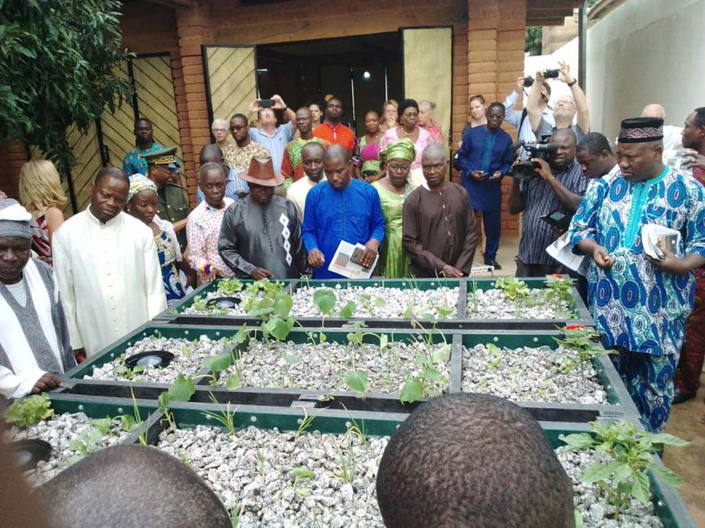 Groenten worden gekweekt die aangepast zijn aan de klimatologische omstandigheden in Benin