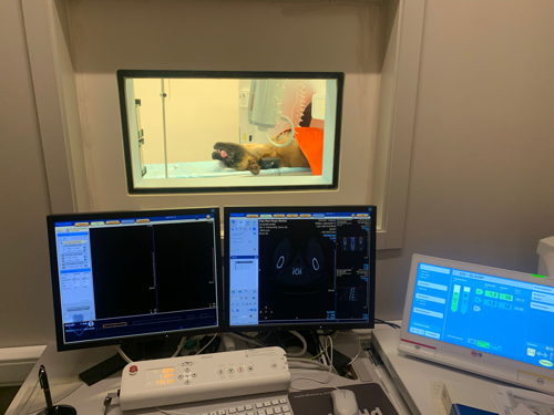 Computerbeelden nieuwe CT-Scanner