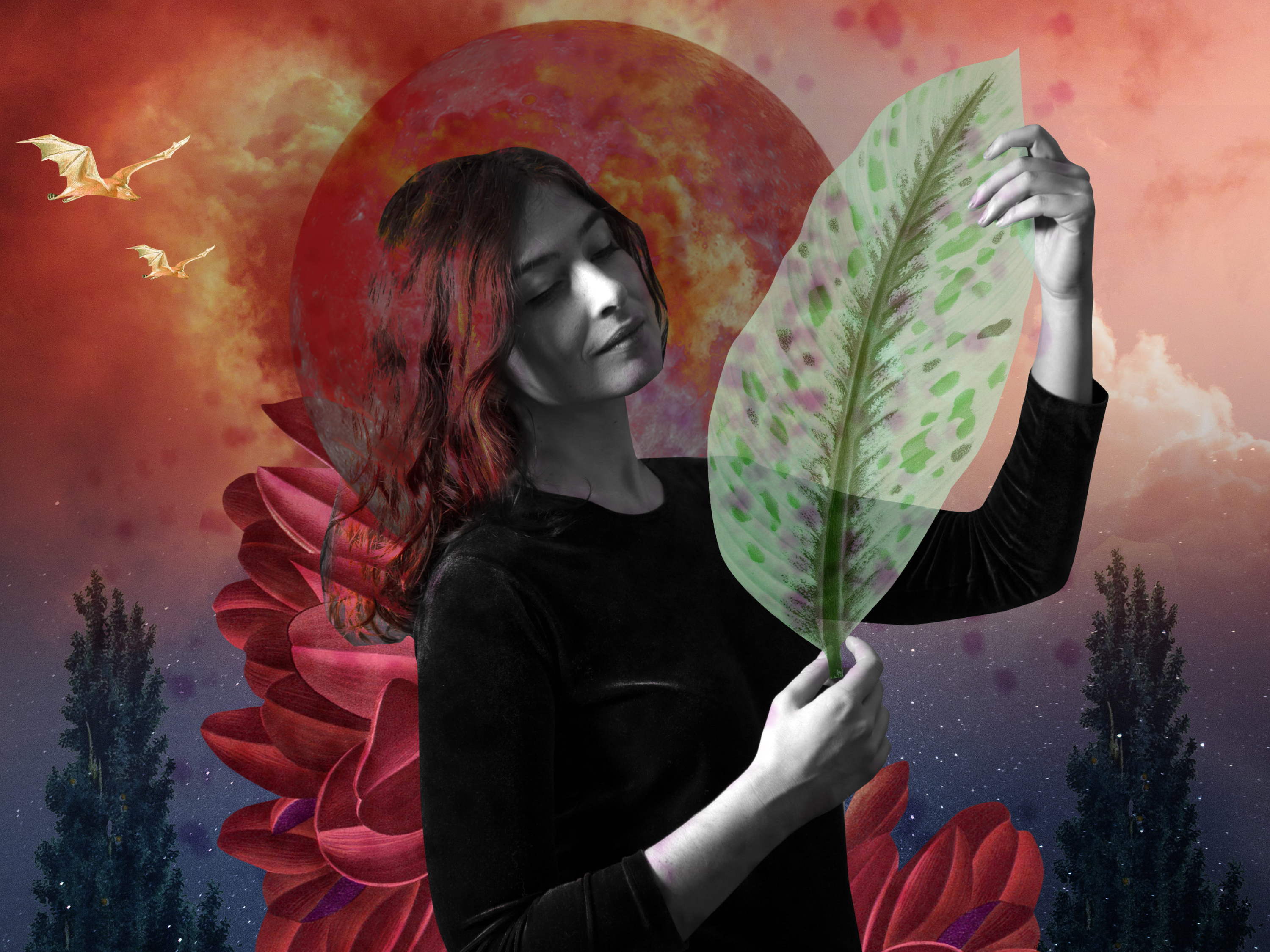 MARIOTTE – Exils : Entre douleur de l’exil et amour impossible, un chant vibrant aux couleurs kabyles