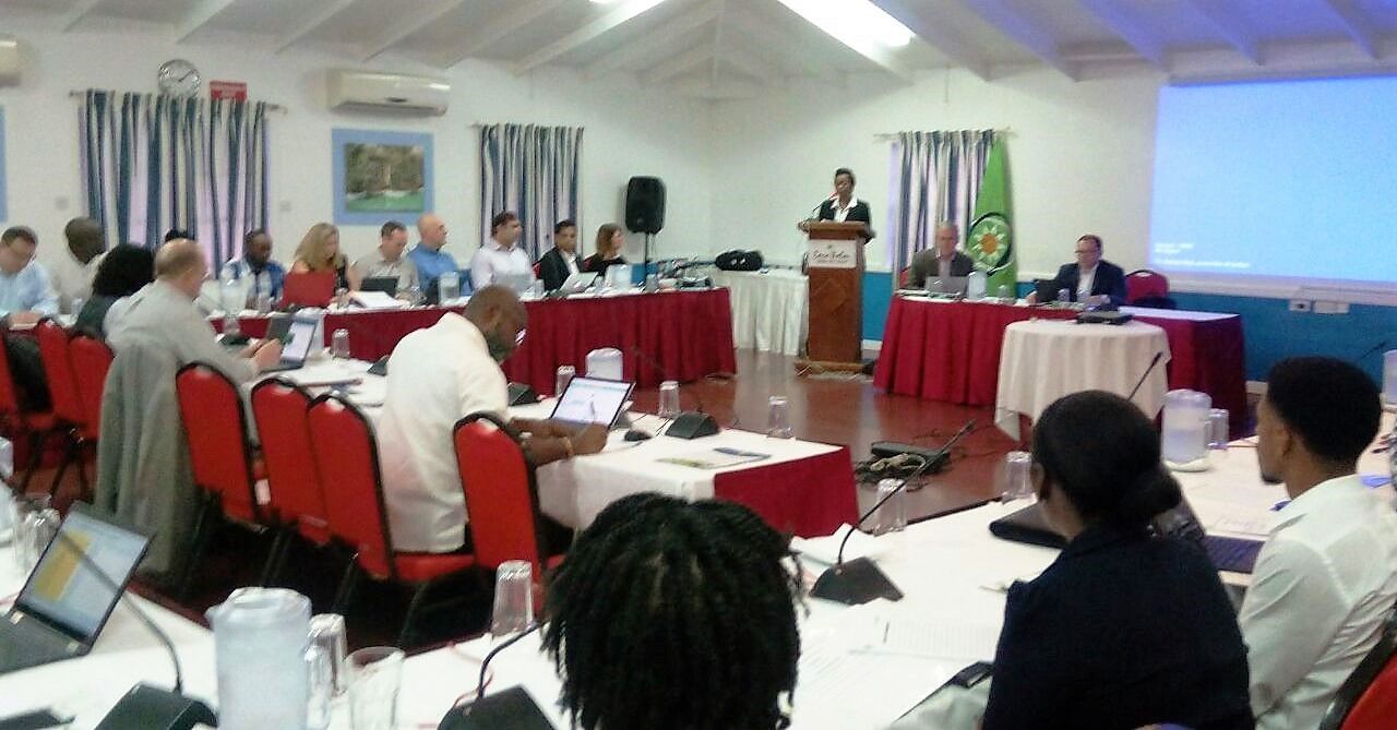 Dr. Gale Archibald, Head of the OECS Statistical Services Unit (SSU), delivers the opening remarks.