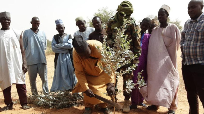 Preview: Championing Sustainable Agriculture in Niger 