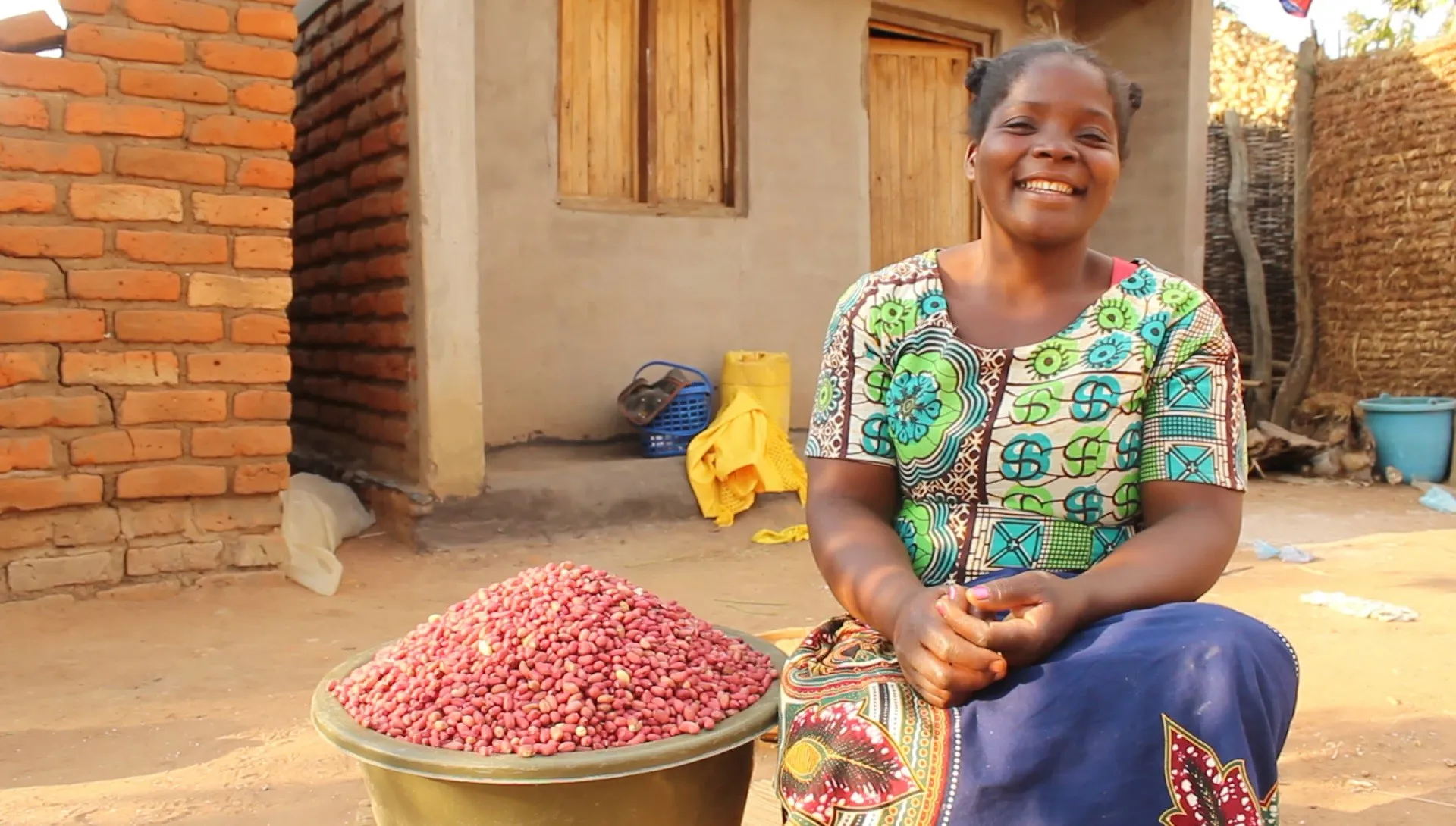 Securing a brighter future for Malawian farmers through groundnut seed production
