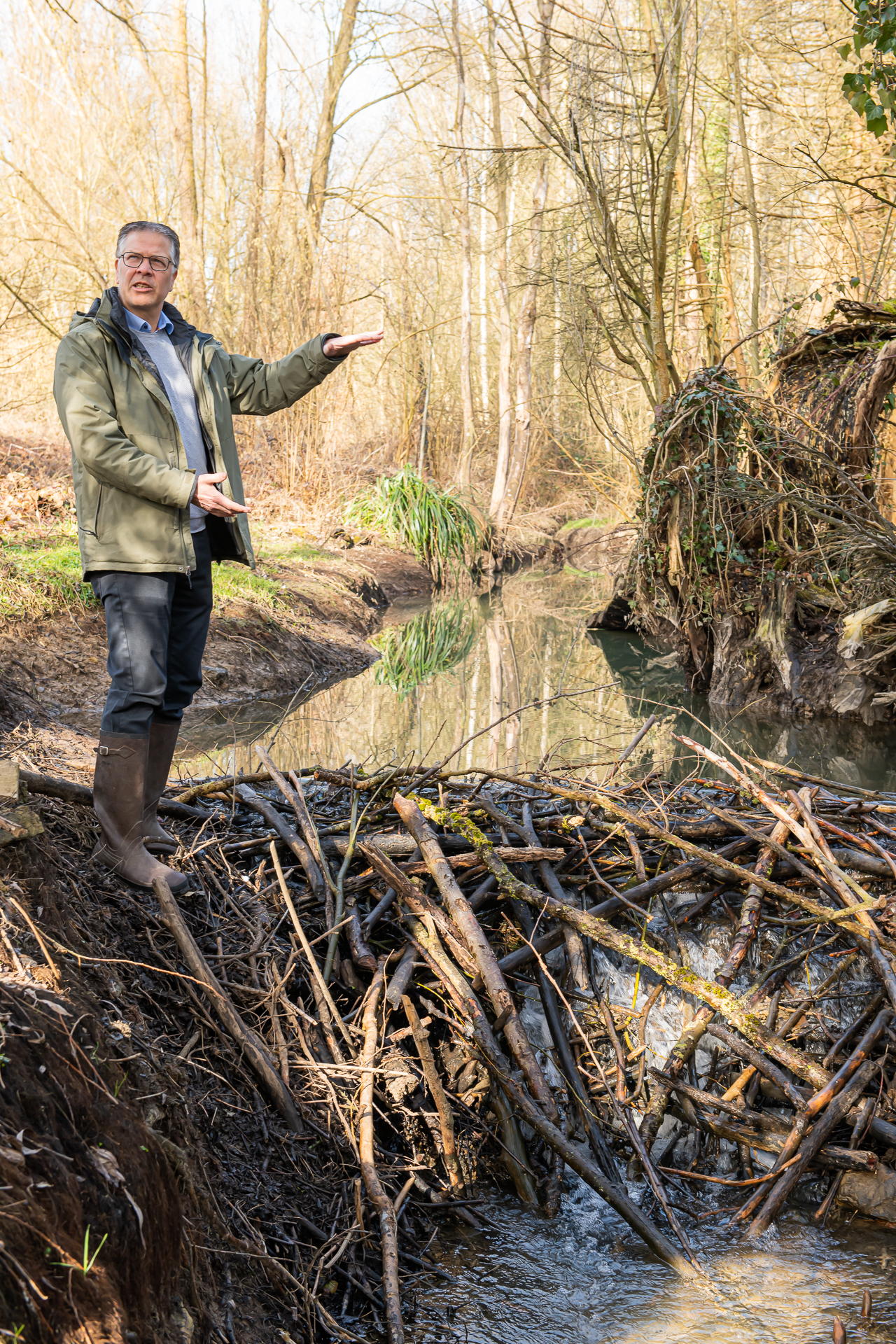 Op 4 maart bracht gedeputeerde Tom Dehaene een bezoek aan de beverdam in Iverijse.