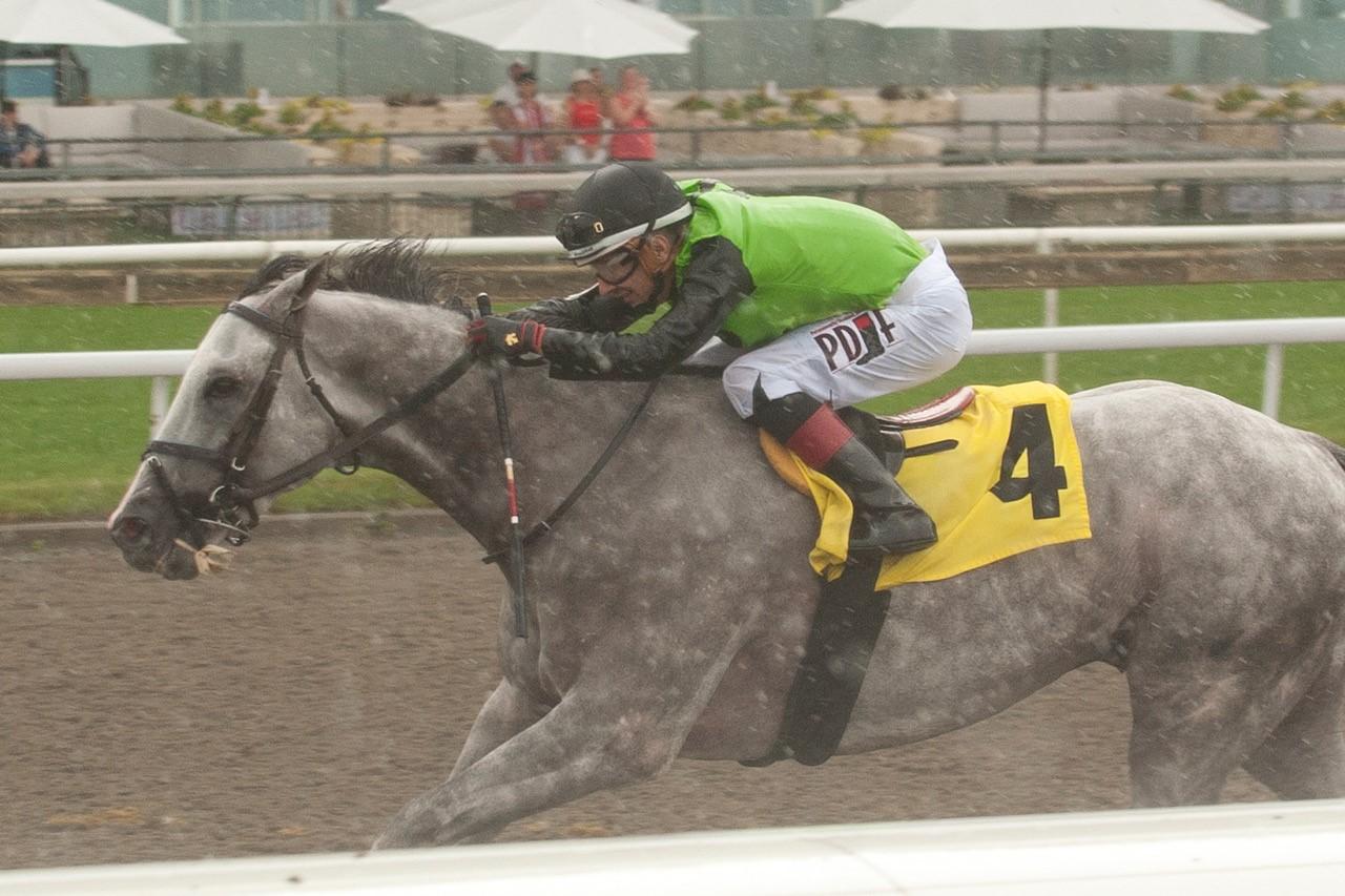 Tyson and jockey Rafael Hernandez winning the Dominion Day Stakes on July 1, 2023 at Woodbine (Michael Burns Photo)