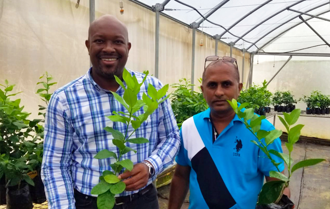 St. Vincent and the Grenadines Launches 2020 Citrus Replanting Initiative