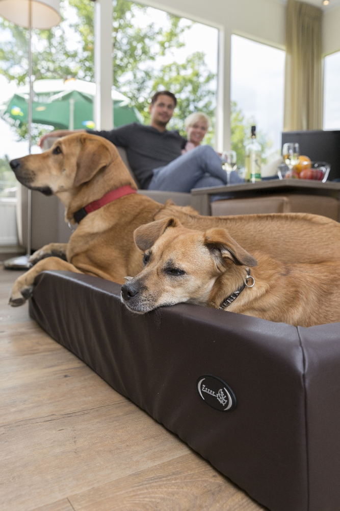 Hunde-Ferienhaus