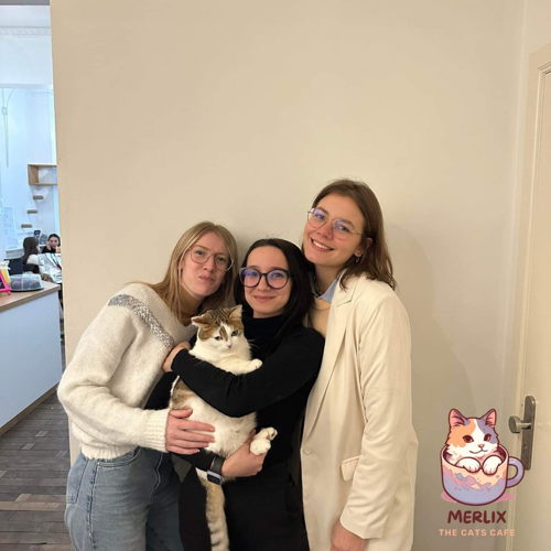 l’équipe: Chloé, L’exploitant Tanaïs Pignoloni, Anouck - Le bar à chats 'Merlix'