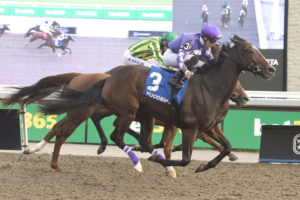 Emma-Jayne Wilson and Artie's Storm winning the Durham Cup Stakes on October 7, 2023 at Woodbine (Michael Burns Photo)