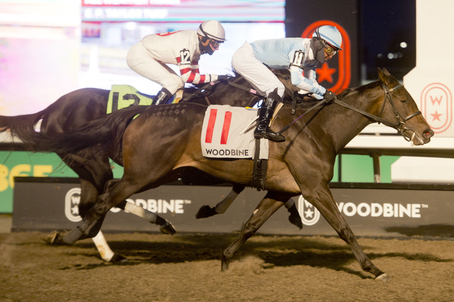 Aristella and jockey Patrick Husbands winning the Princess Elizabeth Stakes on November 30, 2024 at Woodbine (Michael Burns Photo)