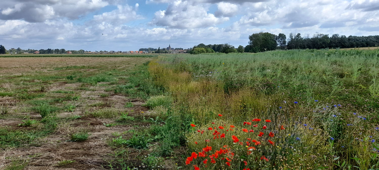 Stroomgebied Wissenbos - Getestreek