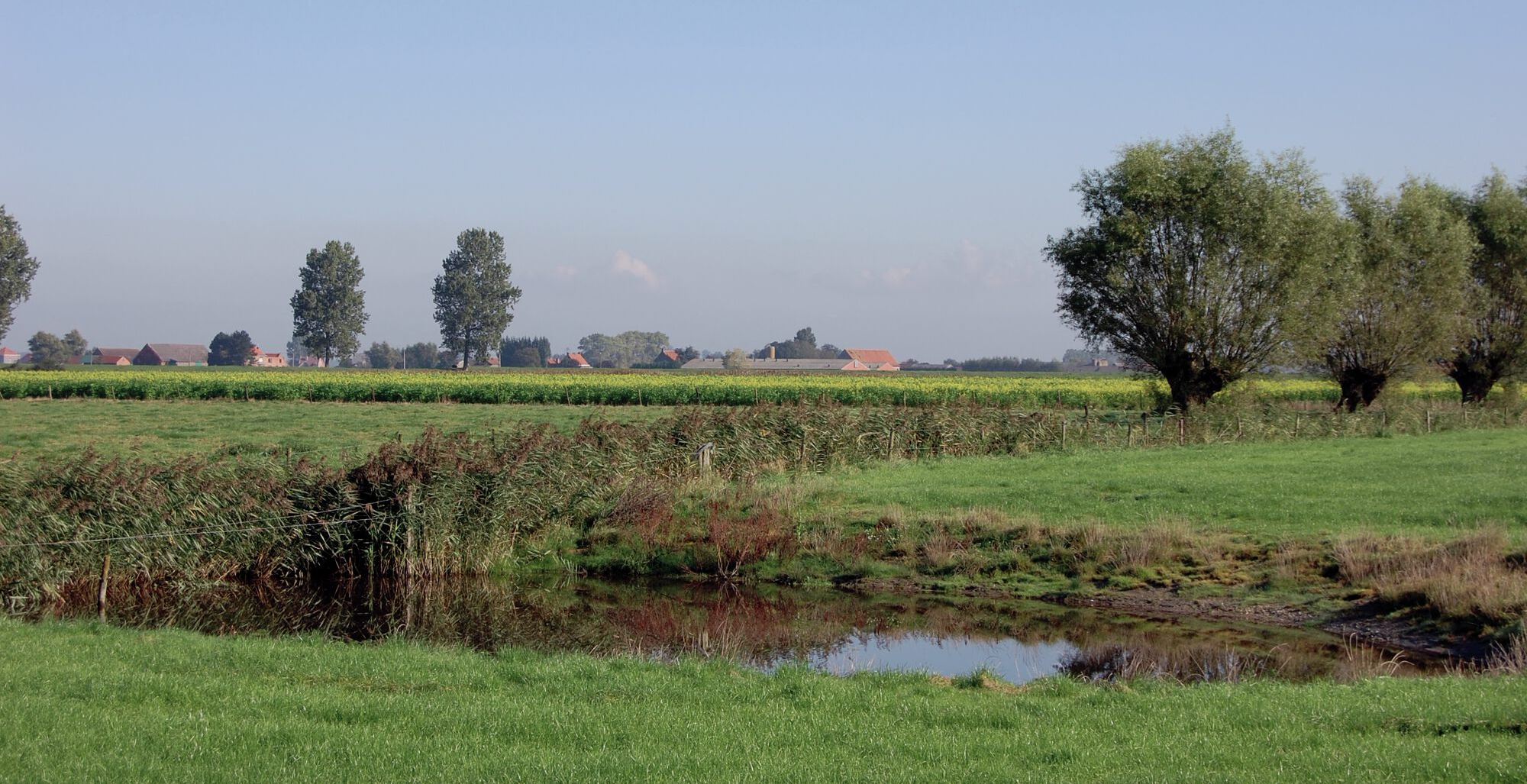 1,2 miljoen euro voor nieuwe uitvoeringsinitiatieven in het landinrichtingsproject Water+Land+Schap