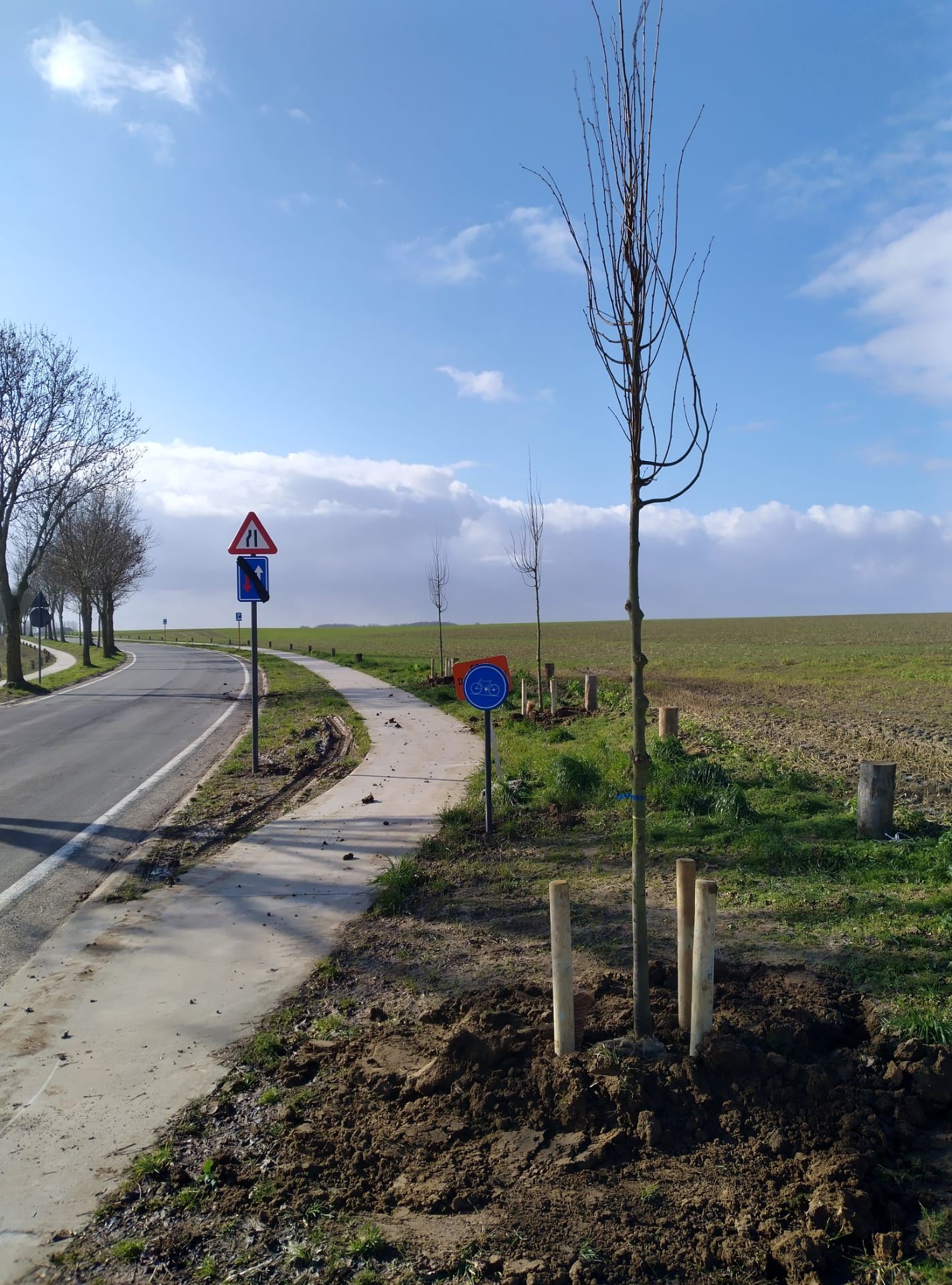 Elke boom telt! Nieuwe aanplant in ruilverkaveling Willebringen.