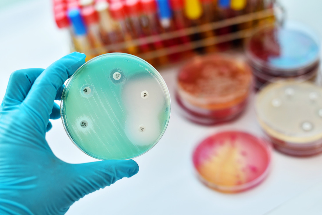 Slapende bacteriën wakker maken om antibioticaresistentie tegen te gaan