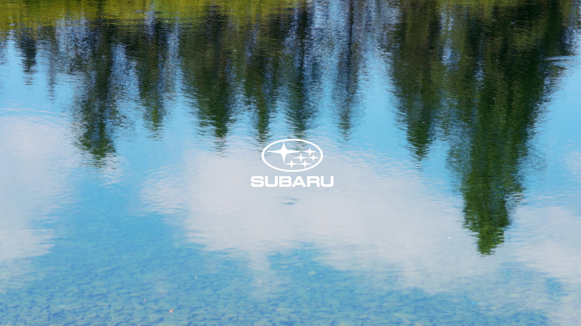 Une nouvelle campagne Fightclub tout en contraste pour la Subaru Forester.