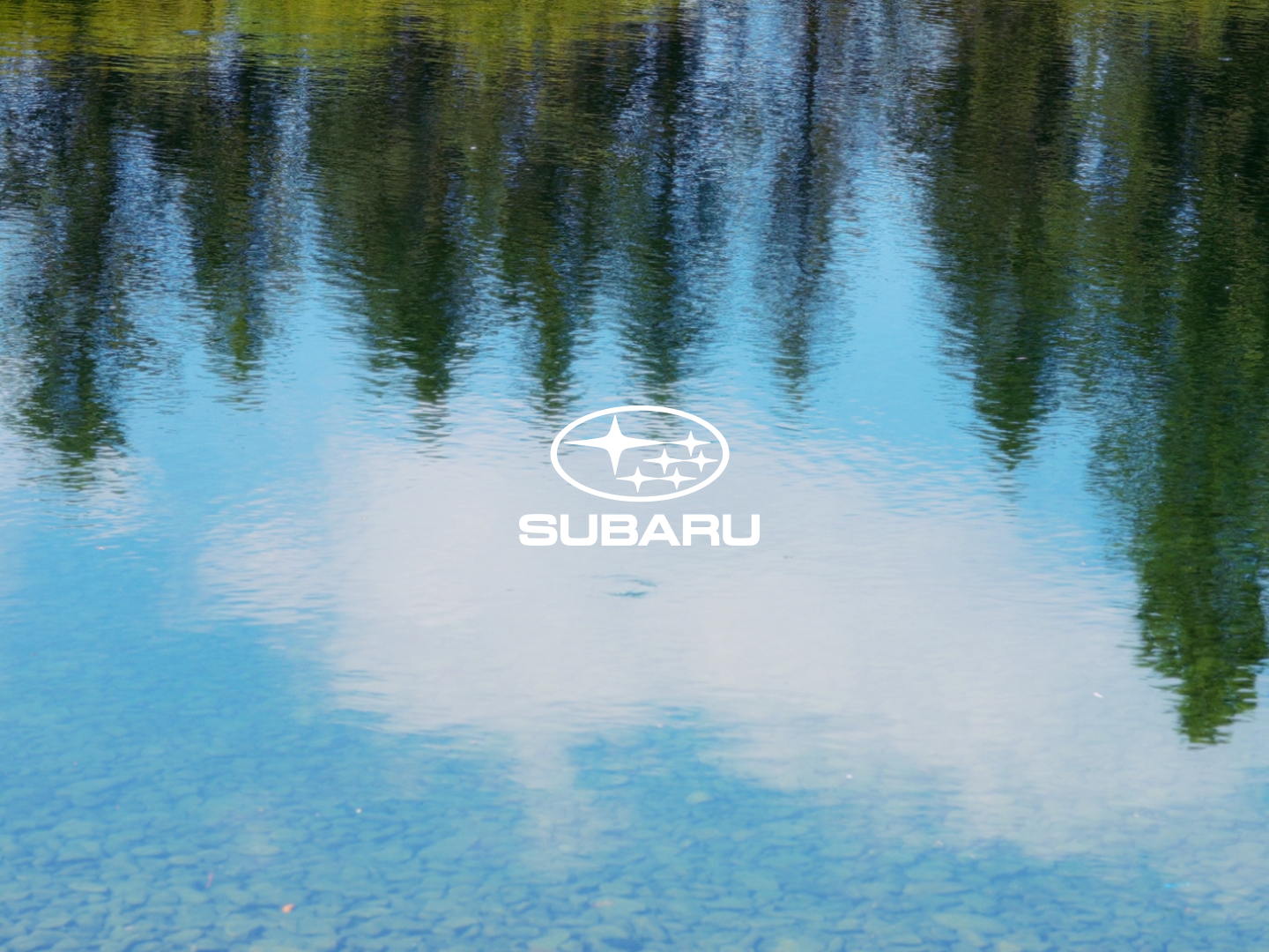 Dualiteit drijft Fightclub voor nieuwste Subaru Forester-campagne.