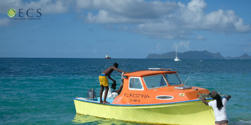 To Protect Our Future, Caribbean Nations Must Fight Harmful Fisheries Subsidies