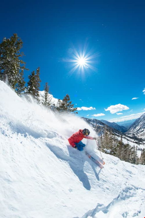 Alta, Salt Lake City, UT