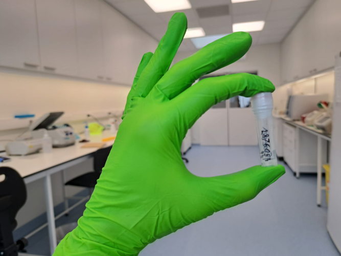 Dit buisje bevat DNA, klaar voor analyse