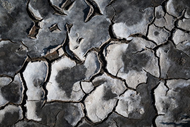 © Alessandro Gandolfi, Italy, Finalist, Professional competition, Still Life, Sony World Photography Awards 2025 - 1