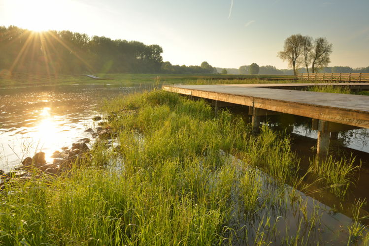 Nationaal Park Scheldevallei-Bergenmeersen bij hoogtij - Wichelen (© Yves Adams Vilda)