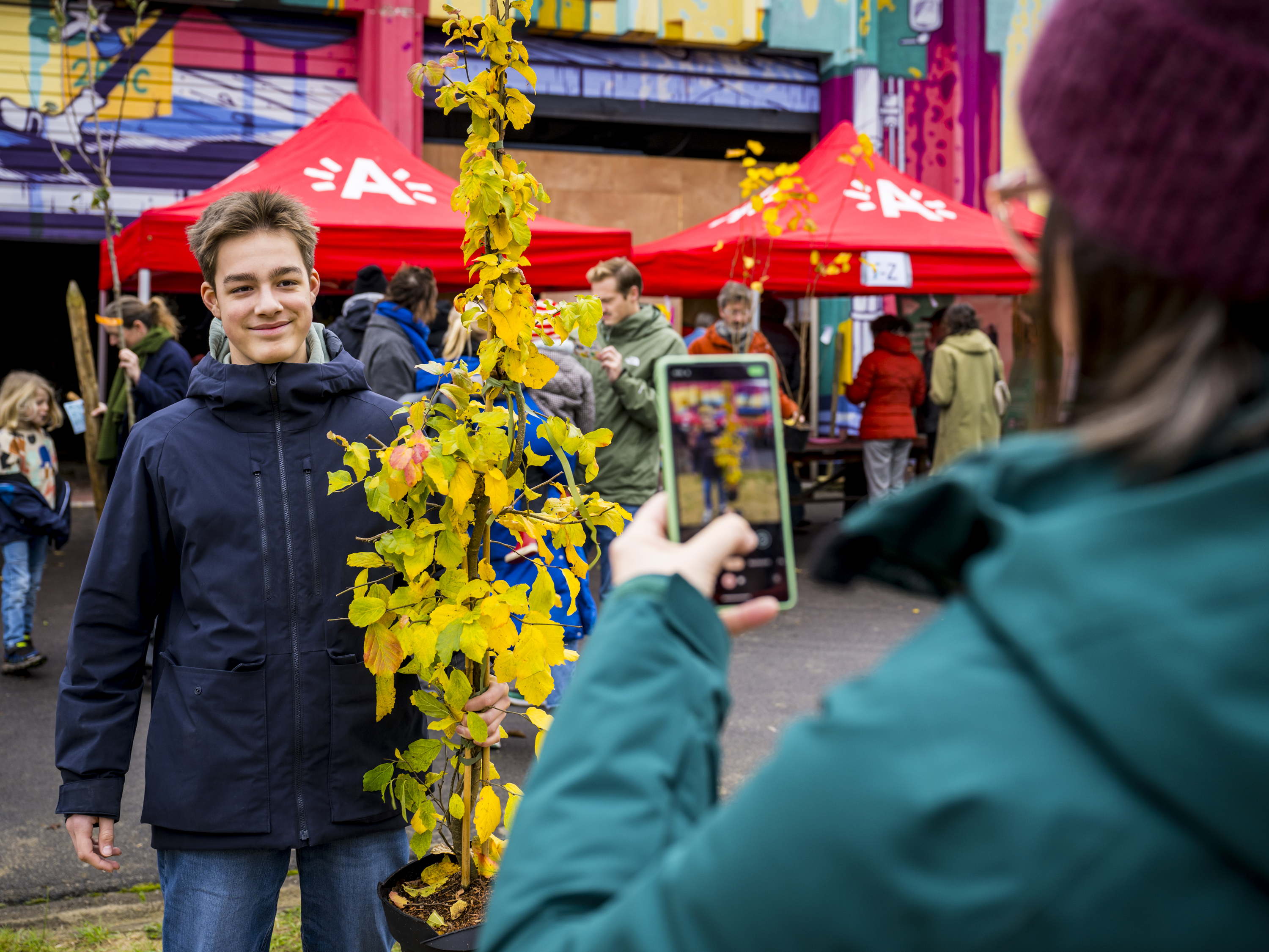 Antwerpenaren kunnen opnieuw gratis boom bestellen voor eigen tuin 