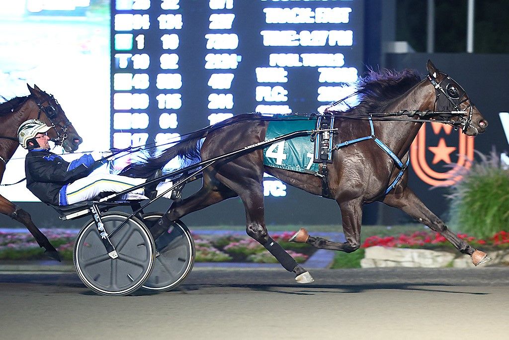 Raised By Lindy and driver Yannick Gingras winning the Elegantimage Stakes on Saturday at Woodbine Mohawk Park (New Image Media)