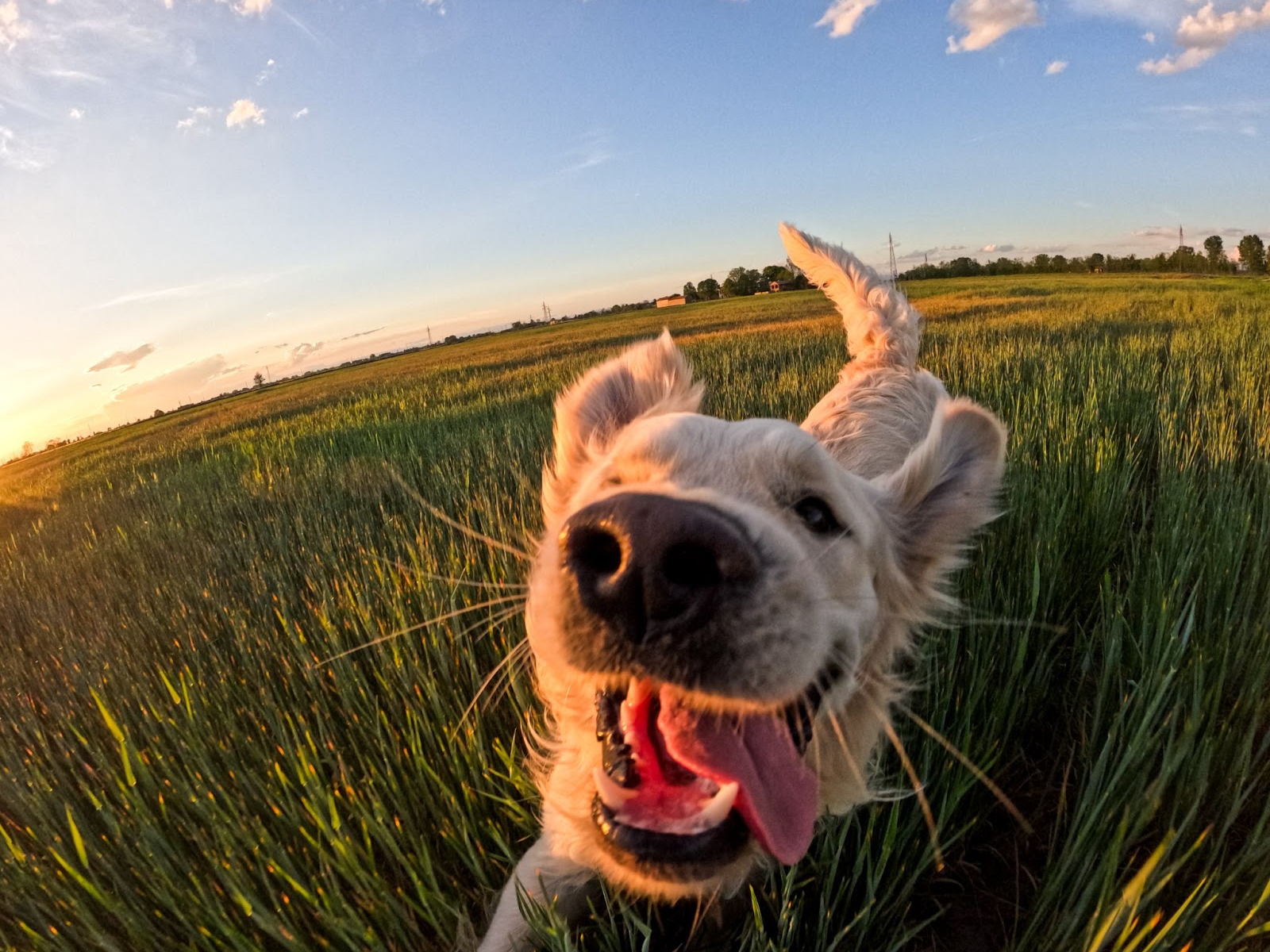 Debí tomar más fotos: Los mejores #ProTips de GoPro para capturar momentos inolvidables