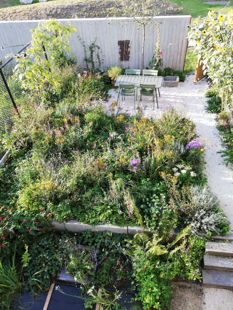 Klimaatgezonde tuin - copyright: Jean-François Van den Abeele