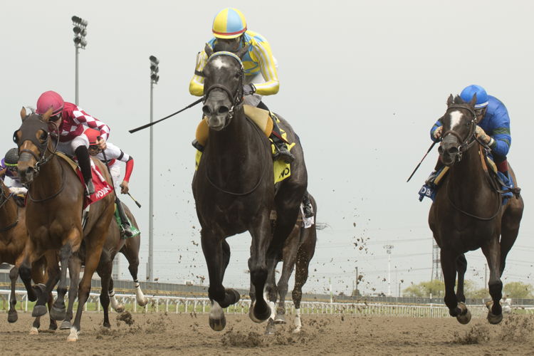 Mark Casse trainee, Summertime Magic, under Patrick Husbands, wins the $100,000 Ruling Angel Stakes at Woodbine on May 21st, 2022. (Michael Burns Photo) Mark Casse trainee, Summertime Magic, under Patrick Husbands, wins the $100,000 Ruling Angel Stakes at Woodbine on May 21st, 2022. (Michael Burns Photo)