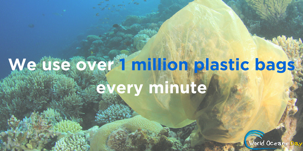 World Oceans Day graphic