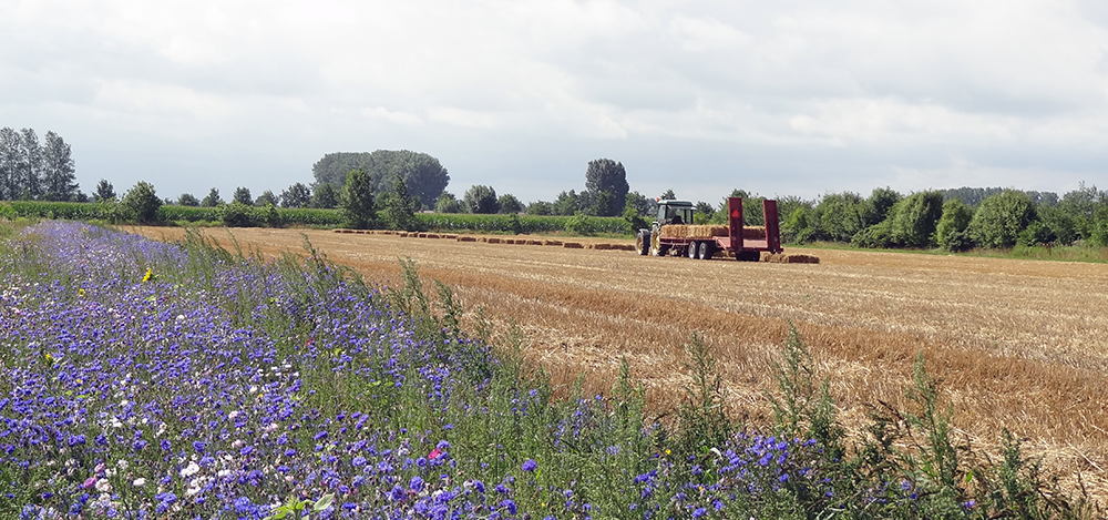 Provincie presenteert 17 speerpunten voor toekomstgerichte land- en tuinbouw in 2035